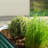 Roede Metal Raised Garden Bed-1847764815-1853180167