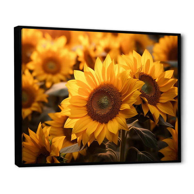 Yellow Sunflowers Field - Floral Wall Decor, Cadre flottant noir, H 24 po x l 32 po x P 1 po