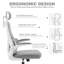 Tunney Ergonomic Height-Adjustable Mesh Office Chair with Headrest-696389719