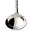 Montauk Ladle