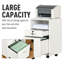 Olortegui 2 Drawer Filing Cabinet-1165396698