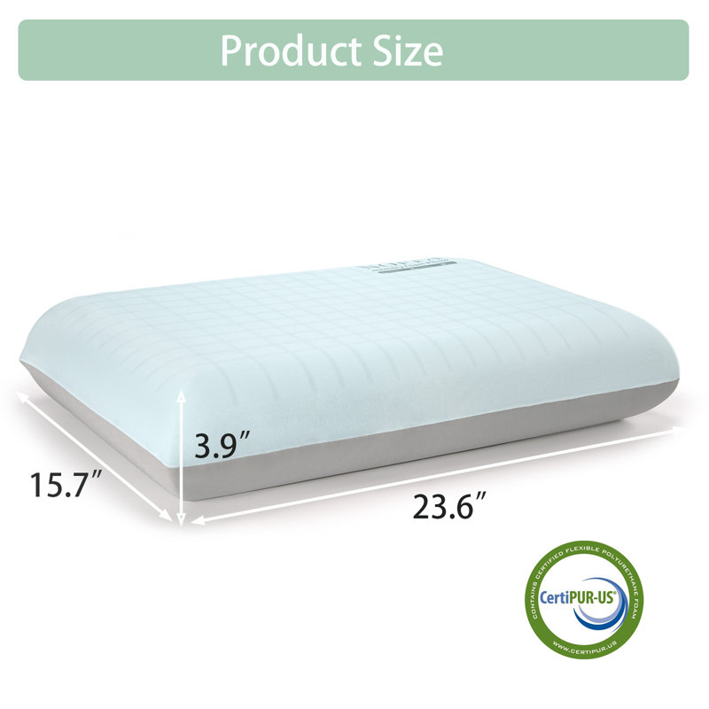 Twin Mattress 12 Inch Memory Foam Mattress With Standard Bed Pillows Set Of 2 - Medium Firm - Pressure Relief & Edge Support,Certipur-US Certified