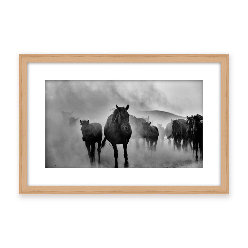 Nature Inspired Untitled by  - Picture Frame Photograph on Paper, 16" H x 24" W x 1.125" D, Black, Framed Matted Print