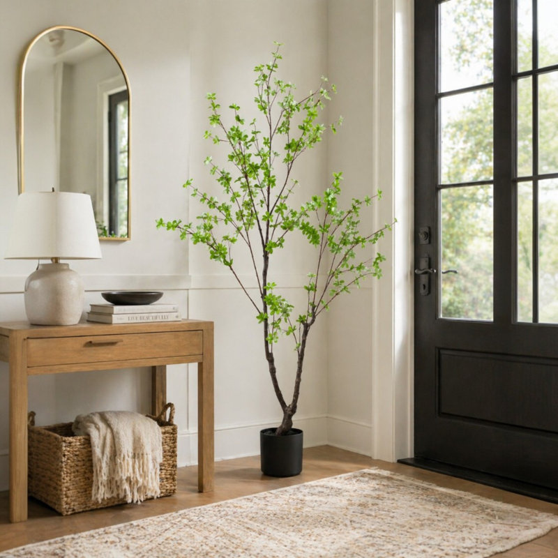 Enkianthus japonais en pot 78 po Everleaf