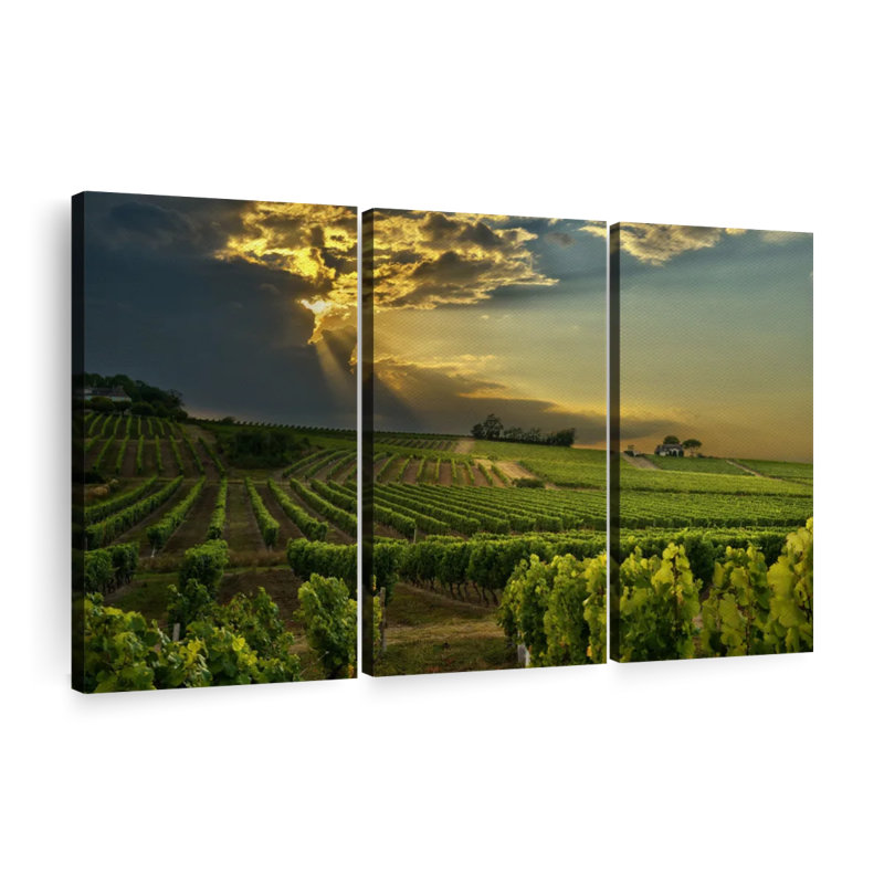 «South Of France Vineyard» sur toile, H 42 po x l 65 po x P 1,25 po