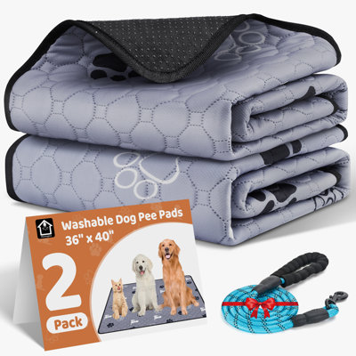 Paquet de 2 coussins de peluche lavables pour chiens, 36 po x 40 po, avec laisse pour chien de 60 po