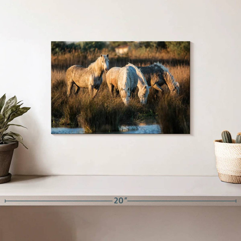 Ronce les chevaux blancs de Camargue VII, H 8 po x l 12 po