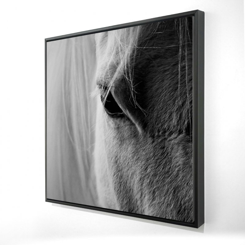 «The White Horse Eye», reproduction sur toile