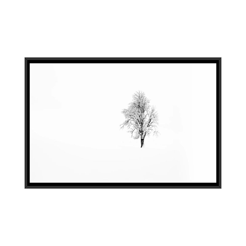 «Nature I», reproduction sur toile, H 18 po x l 26 po x P 1,5 po, Toile encadrée noire