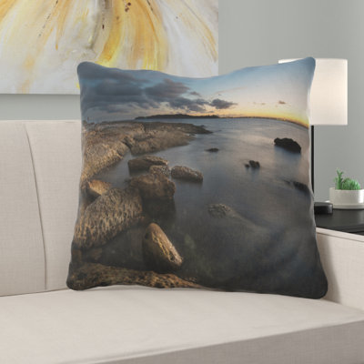 Throw Pillow