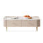 Picture color Solid + Manufactured Wood Rectangular Coffee Table