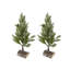 Arbre de Noël en PVC sur base en bois avec neige
