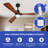 Aranit Ceiling Fan with LED Lights