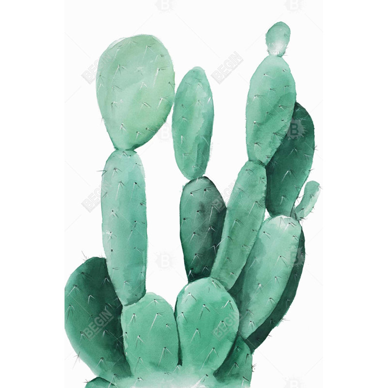 «Watercolor Paddle Cactus» sur toile