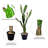 Faux Cactus Succulent in Pot-1806810766