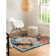 Oriental Indoor Rug