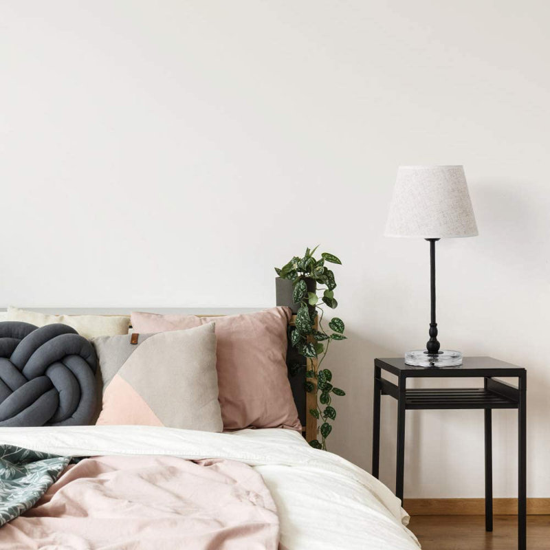 Briggsiii Acrylic Table Lamp