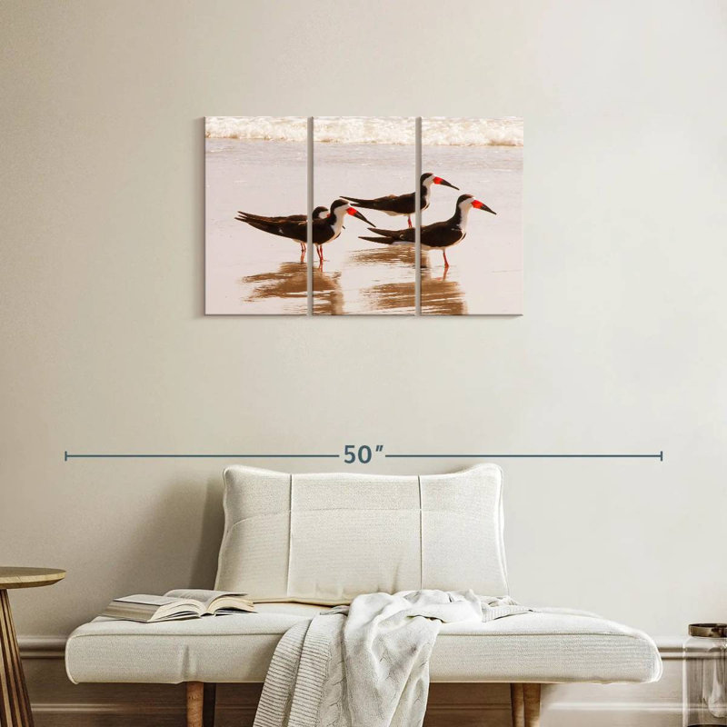 Brampt A Few Black Skimmers I, 20" H x 33" W