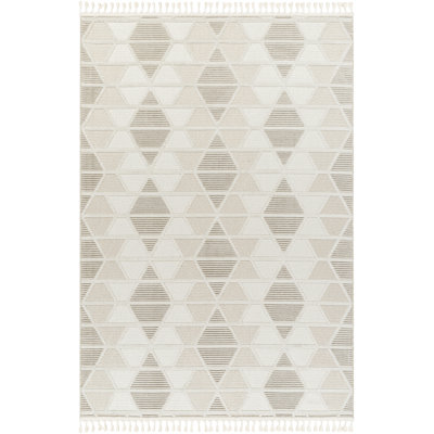 Southwestern Indoor Rug