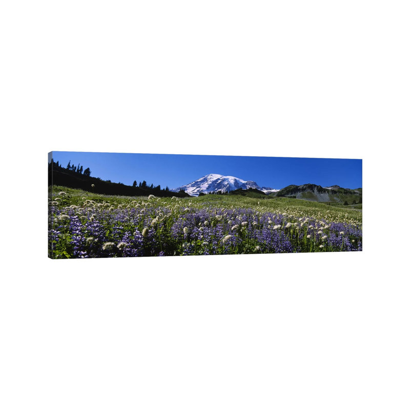 Wildflowers On A Landscape, Mt Rainier National Park, Washington State, USA #4 by Panoramic Images - Wrapped Canvas Panoramic Print