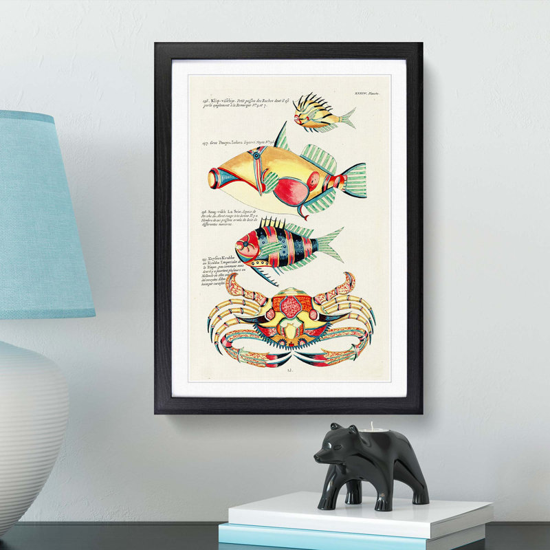 East Indies Fish & Crab Illustrations XXXIV by Louis Renard - Picture Frame Painting Print, 36cm H x 27cm W x 2cm D