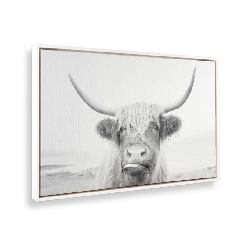«Playful Highland Cow», reproduction sur toile, Cadre flottant blanc opaque, H 8,75 po x l 12,75 po x P 1,75 po