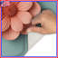 Tapis de bain Coral-536726081