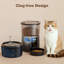 Automatic Feeder