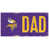Vikings du Minnesota