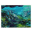 « tranquility atlantique bottlenose dauphins », reproduction de peinture à l’acrylique sur toile tendue-33537763