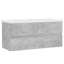 Ebern Designs Audreyonna 1000mm L x 385mm W Ceramic Rectangular Sink with Tap and Overflow-1616969441