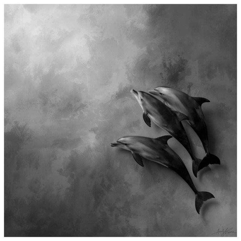Tapis de bain Three Dolphins, L 34 po x L 21 po