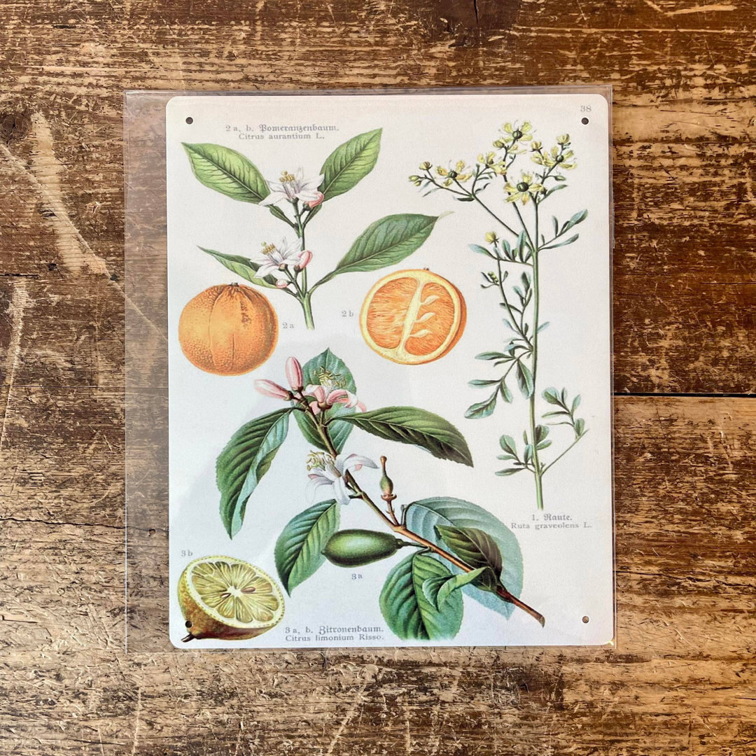 Handmade Food & Beverage Wall Decor on Metal