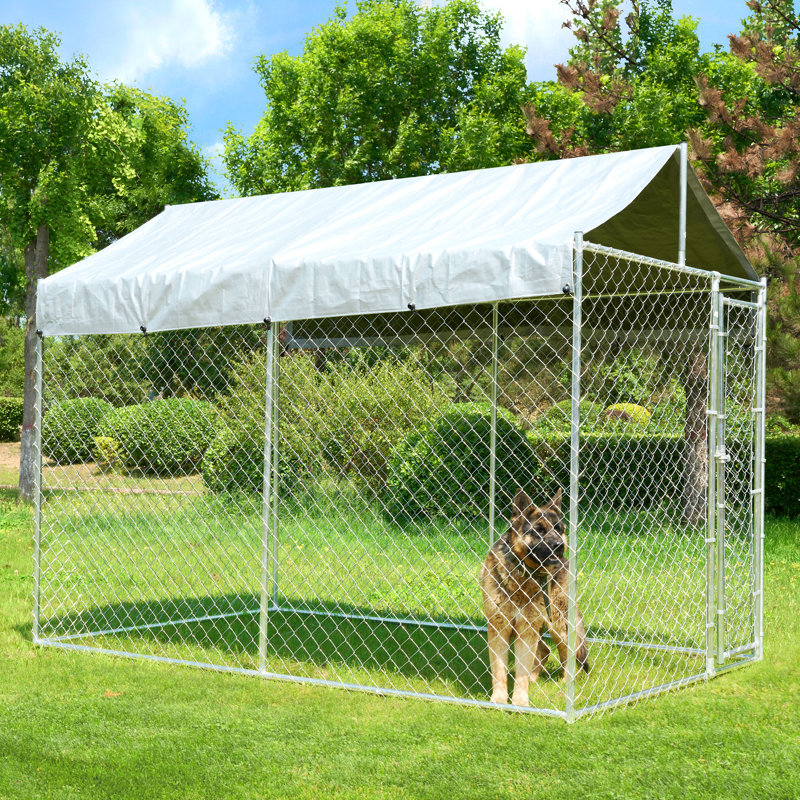 Metal Yard Kennel