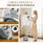 Full Size Fabric Steamer,Wet and Dry Portable Handheld Steam Iron-118026121