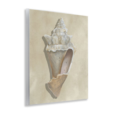 Plaque de coquillage brun clair, art de Michael Willett