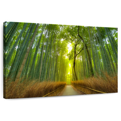 Harnek Bamboo Forest In Arashiyama