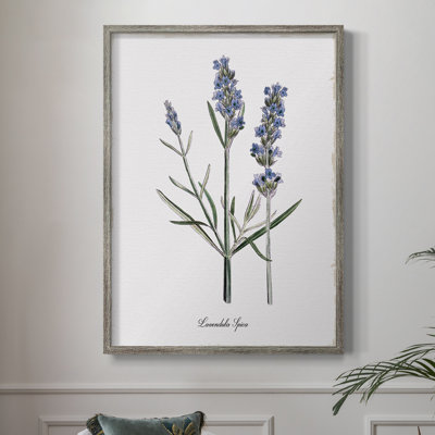 Lavender Framed Print - Solid Wood
