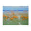 Art sur toile «Prairie Vaer Yeremyan»-105644841