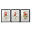 Lin géranium - ensemble de 3 reproductions de cadres photo-941215759-941215762