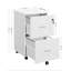 Chandrine 45cm Wide 2 -Drawer File Cabinet