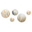 Golden Ferns Silent Gracefulness II - Ferns Wall Art, ensemble de 5