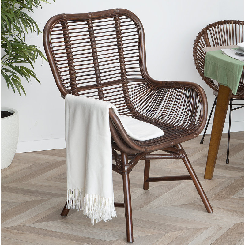 Gaelen Patio Dining Armchair with Cushion, Brown