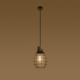 1 - Light Single Pendant