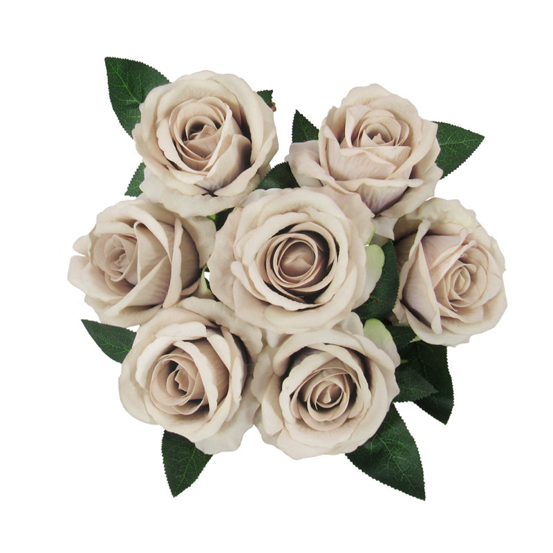 Velours rosier, Beige gris