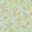 Lemon Tree Wallpaper-50889569