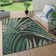 Perkin Flowers Area Rug