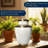 Memorial Urns-1050940691