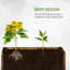 Planter
