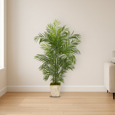 Areca Palm Tree in Planter UV Resistant